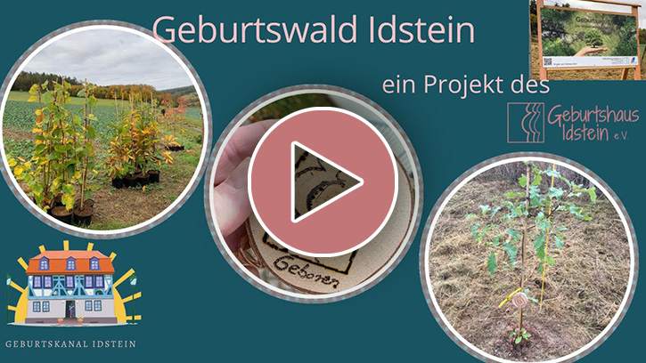 Geburtswald Idstein Video